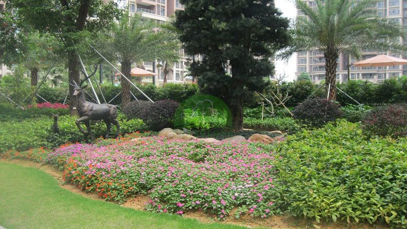现代别墅花园景观设计：如何打造个性化绿色空间