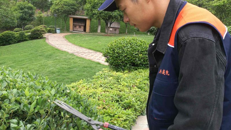 别墅庭院景观绿化设计费，如何精准计算？**