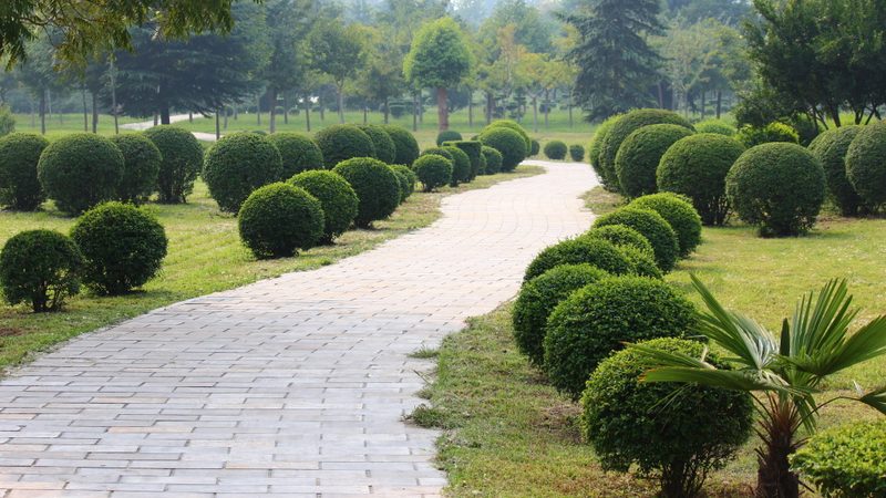 边坡喷播植草工程：报价单背后的考量因素**