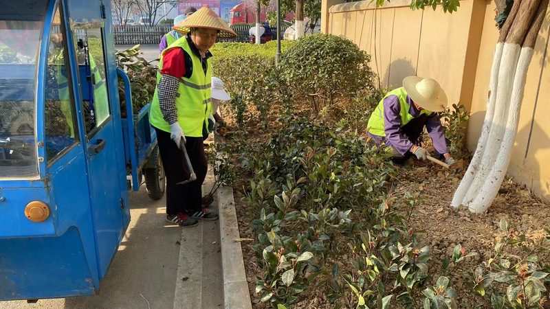 实木围栏与防腐木围栏：材质、工艺与适用场景解析