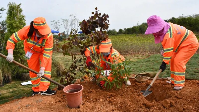 景观植物墙报价清单：如何评估与选择