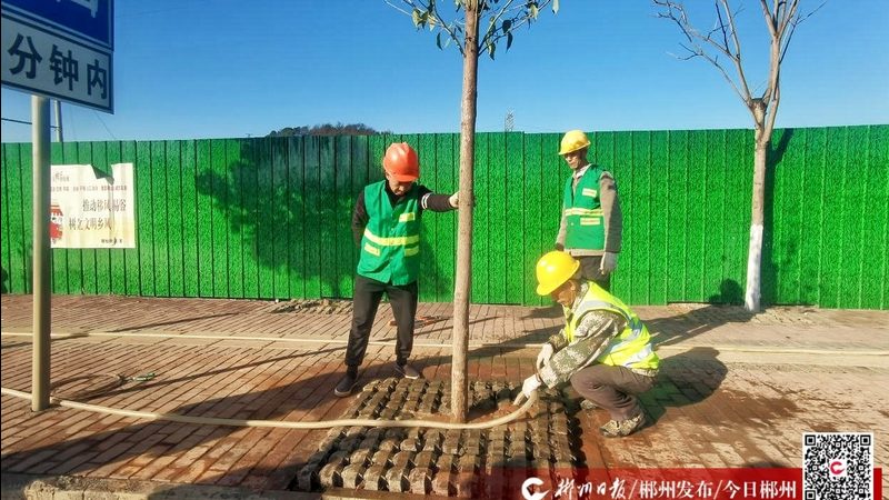 假山喷泉价格背后的影响因素揭秘**