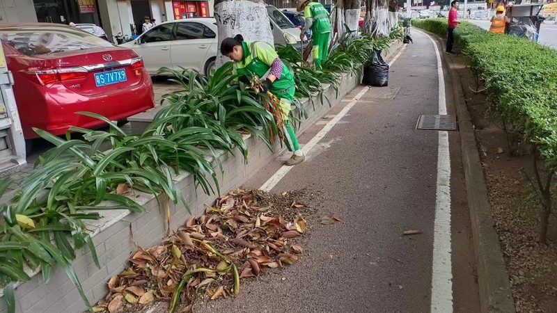 垂直绿化种植模块：批发价格背后的考量因素**