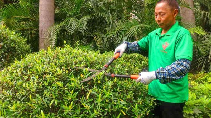 学校运动场草坪养护，这些设备你了解吗？**