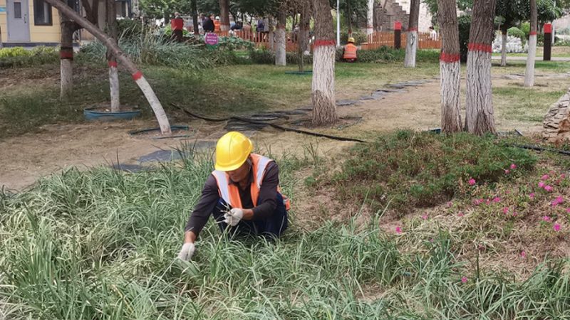 新中式别墅庭院设计：传统与现代的和谐交融