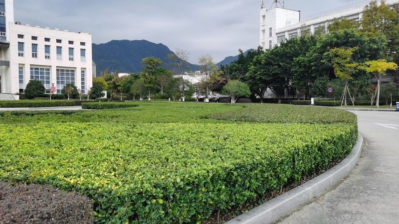 生态垂直绿化墙：如何打造城市绿色新景观**