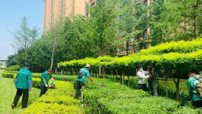 别墅花园设计公司规模多大？揭秘专业与实力的平衡点