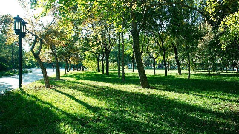 大型企业绿植租摆，如何避免陷入误区？**