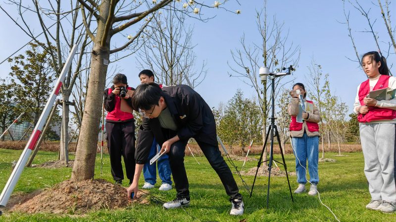室内垂直绿化植物推荐排名：打造绿色空间的艺术选择